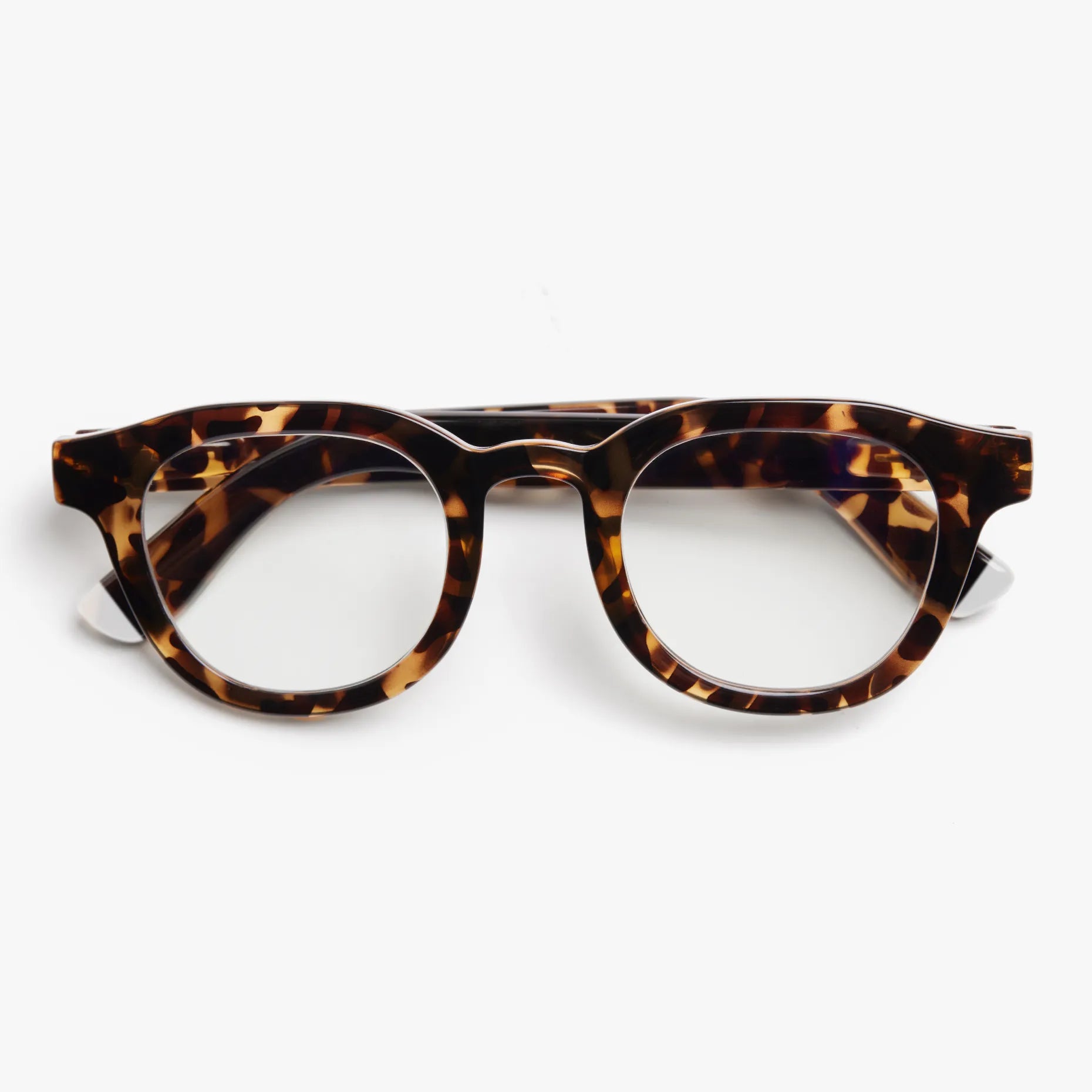 Andy Glossy - Tortoise