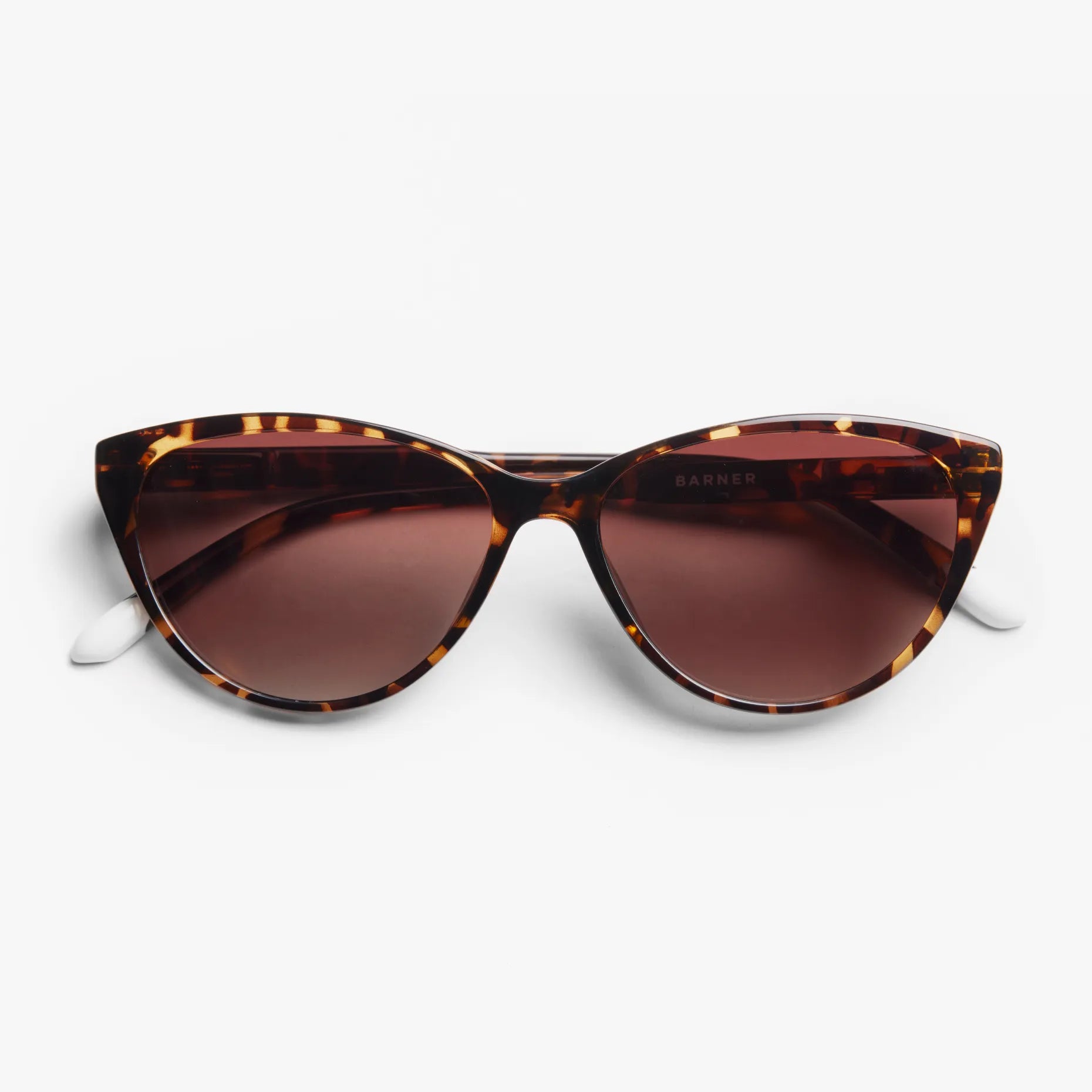 Astoria Glossy Sun - Tortoise