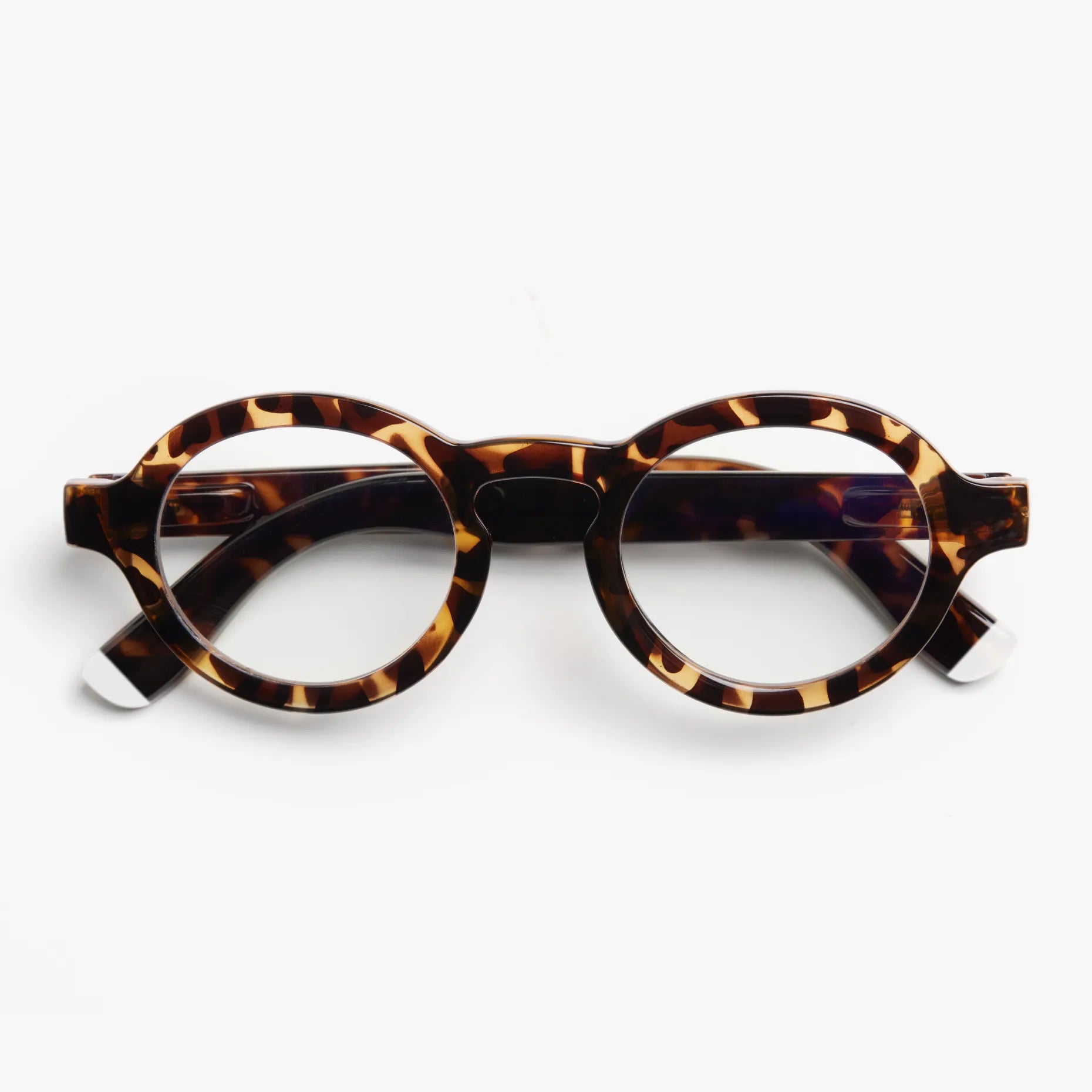 Charles Glossy - Tortoise