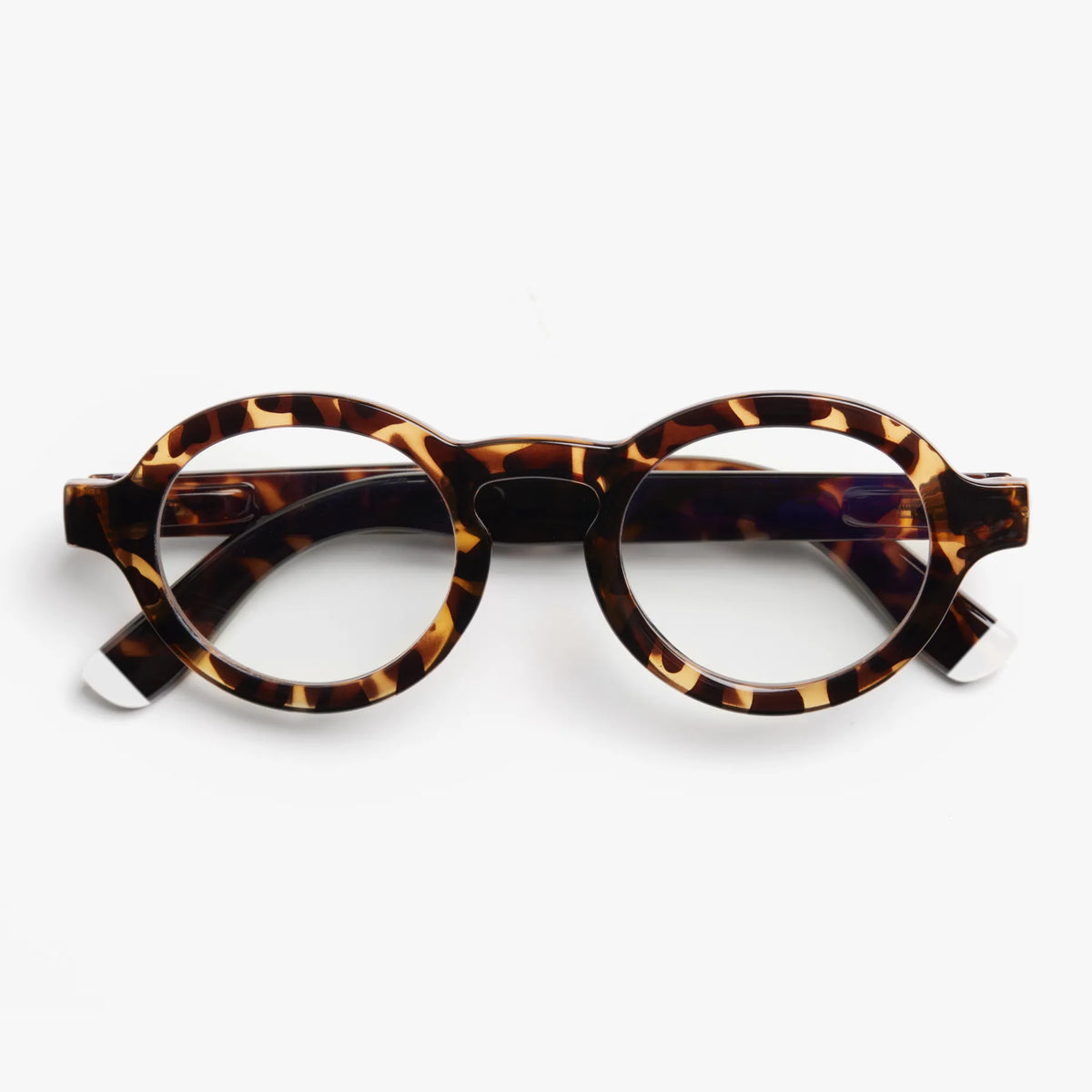 Charles Matte - Tortoise