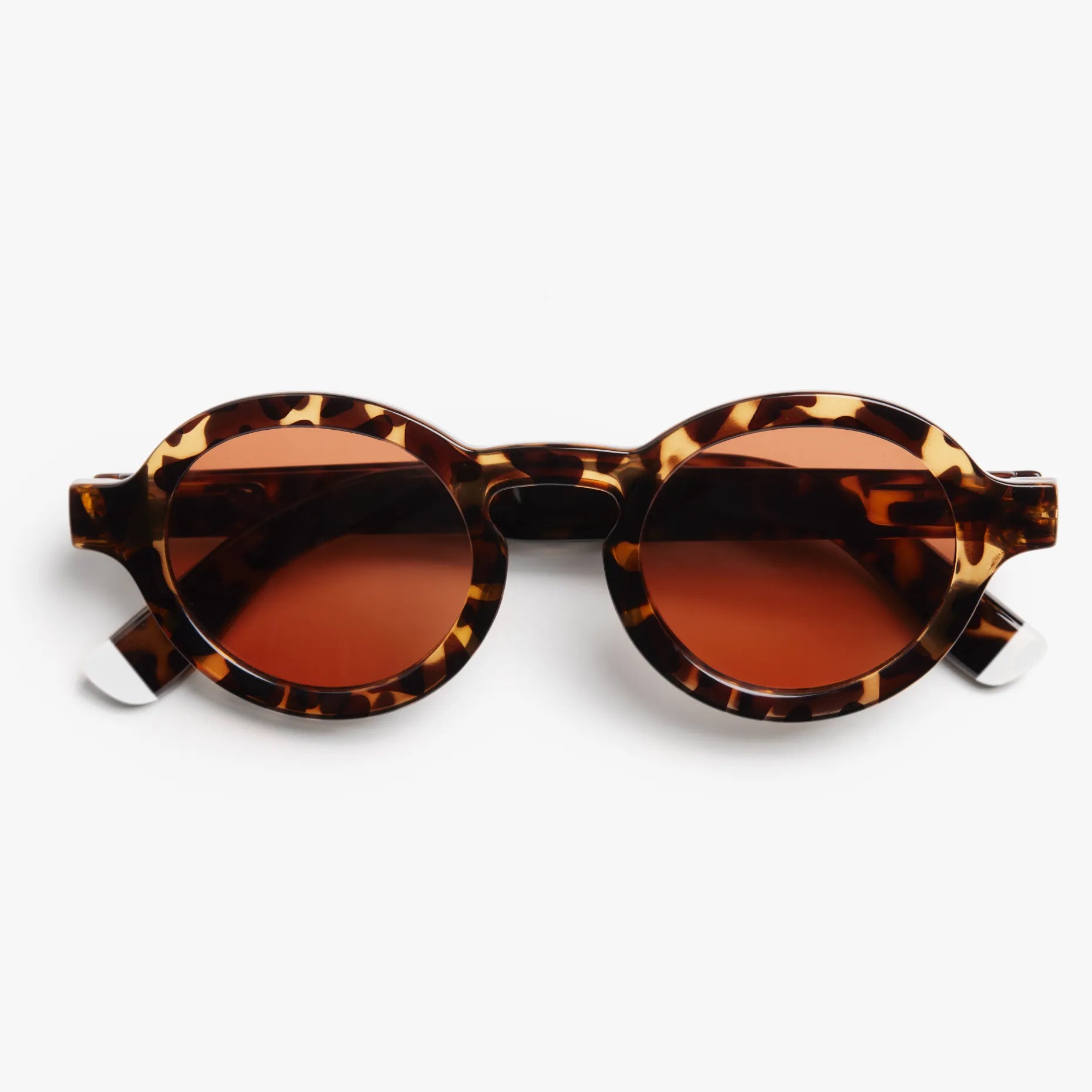 Charles Glossy Sun - Tortoise