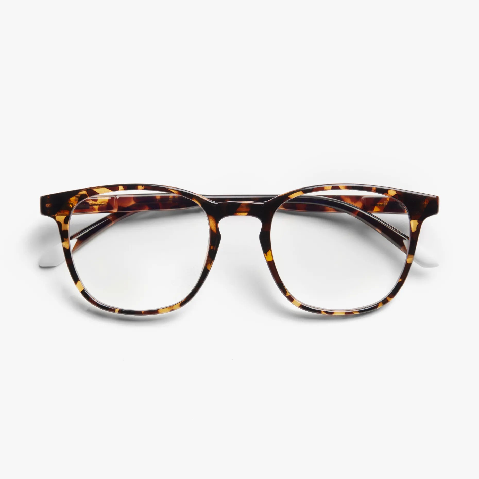 Dalston Glossy - Tortoise