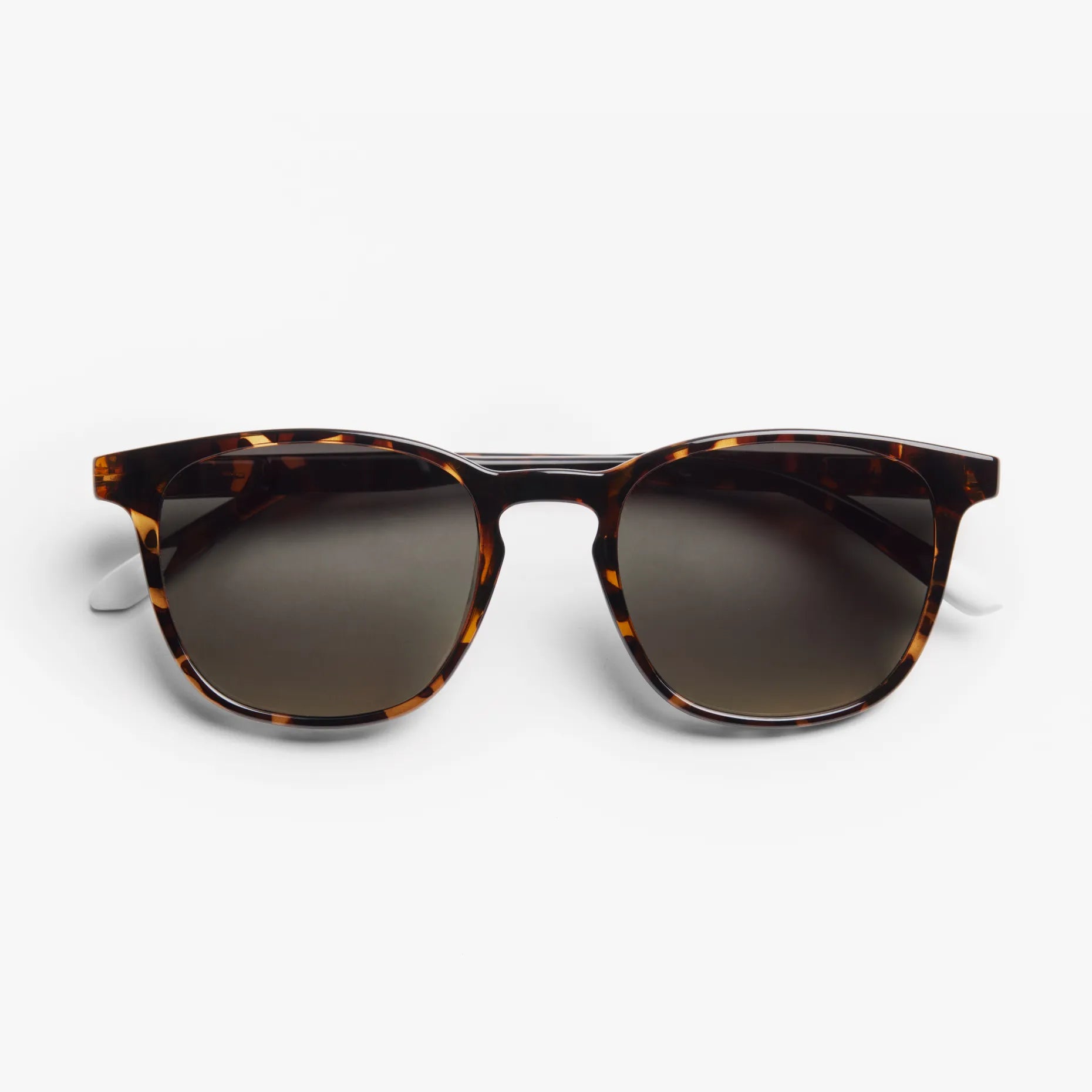 Dalston Glossy Sun - Tortoise