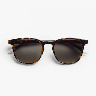 Dalston Glossy Sun - Tortoise