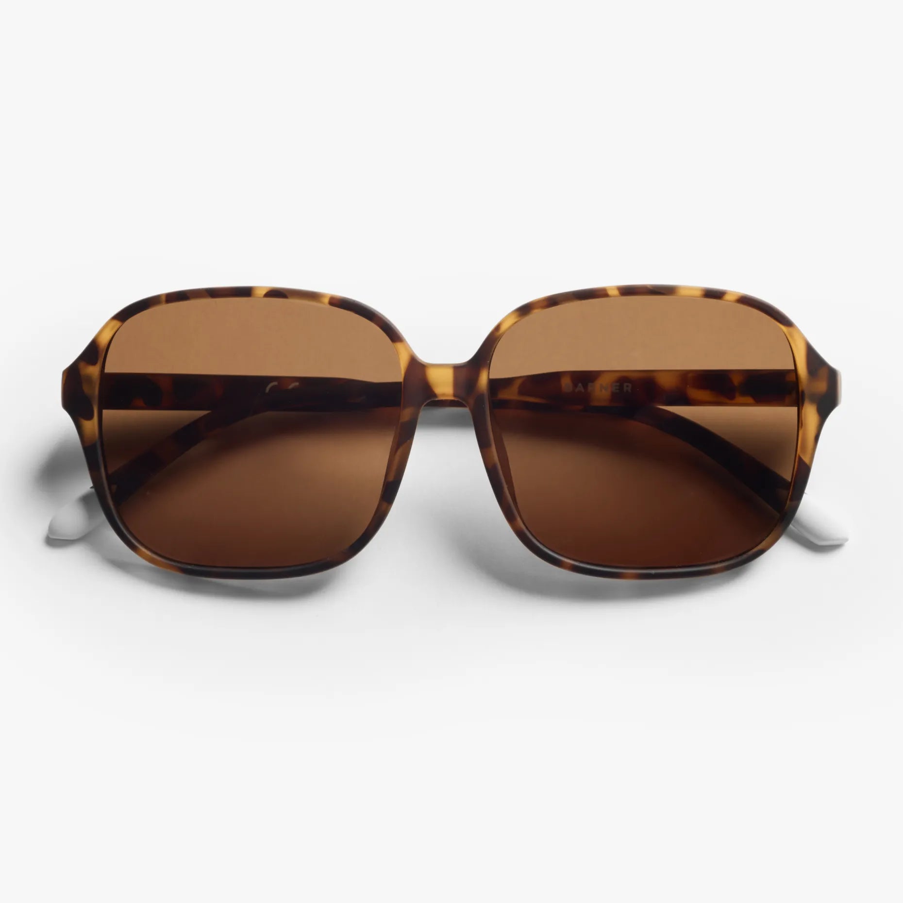Pascal Matte Sun - Tortoise