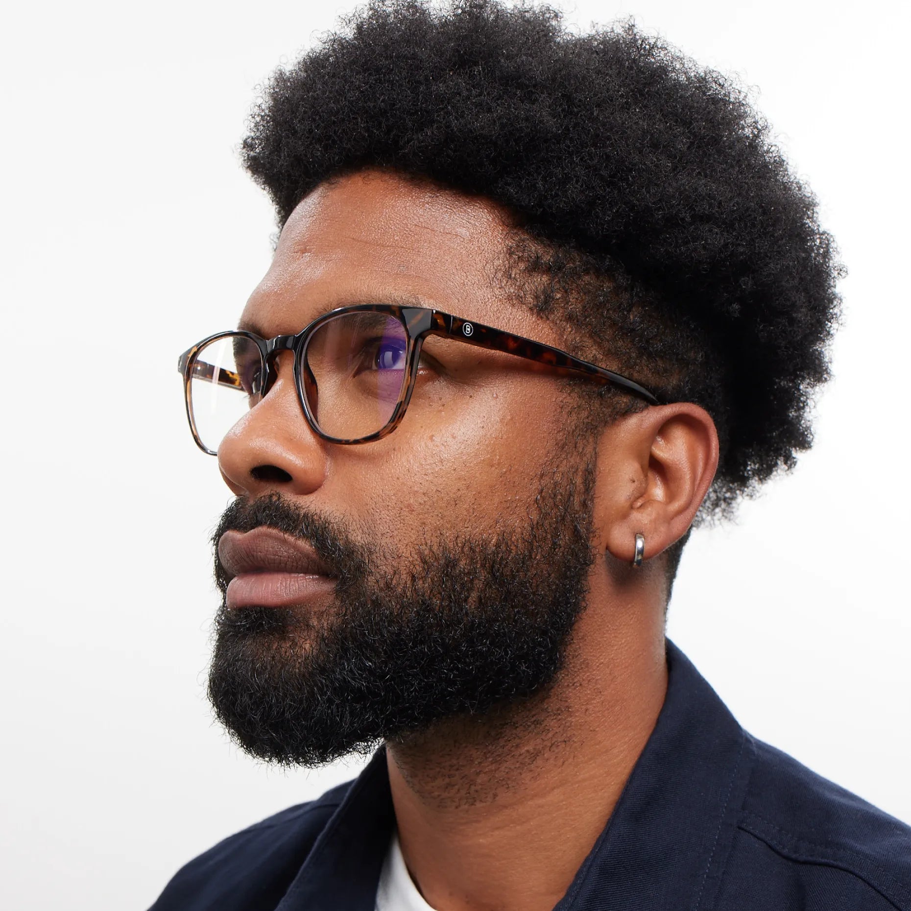 Dalston Glossy - Tortoise