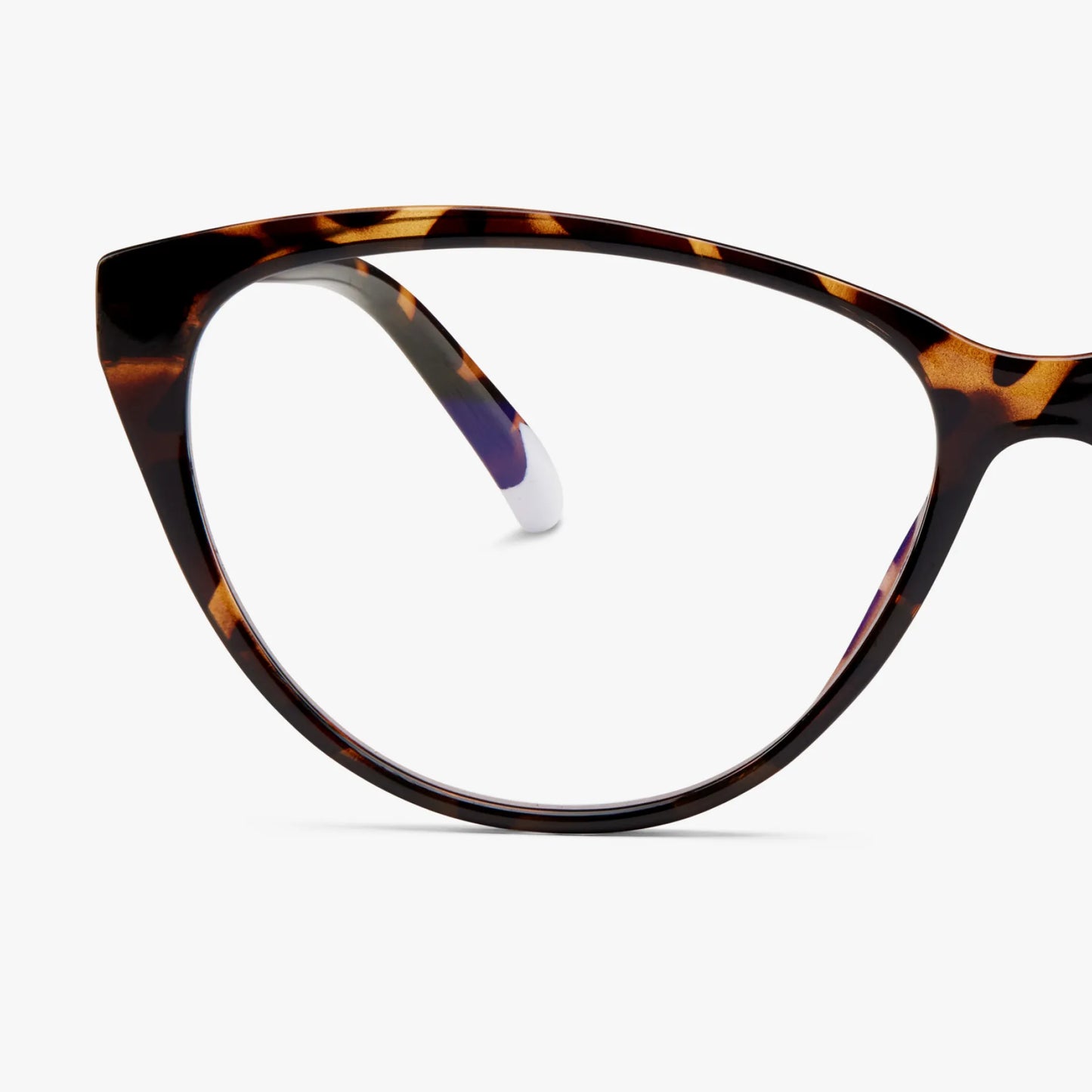 Astoria Glossy - Tortoise