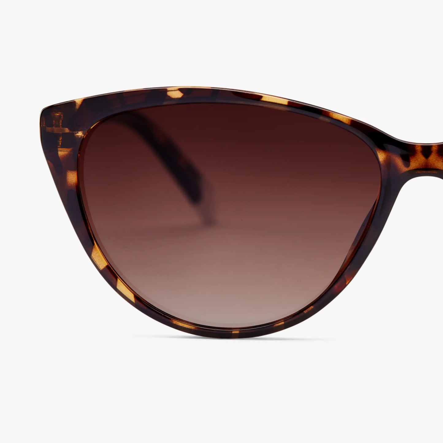 Astoria Glossy Sun - Tortoise