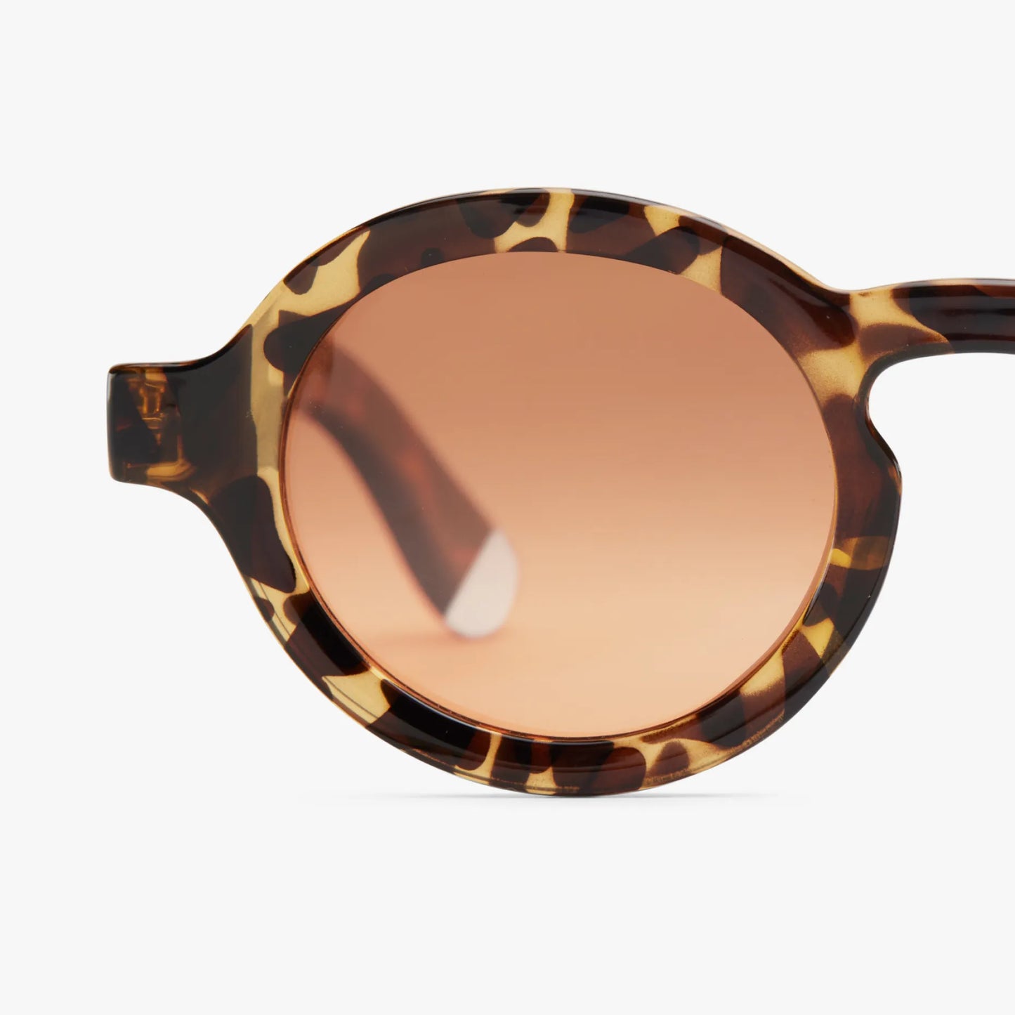 Charles Glossy Sun - Tortoise