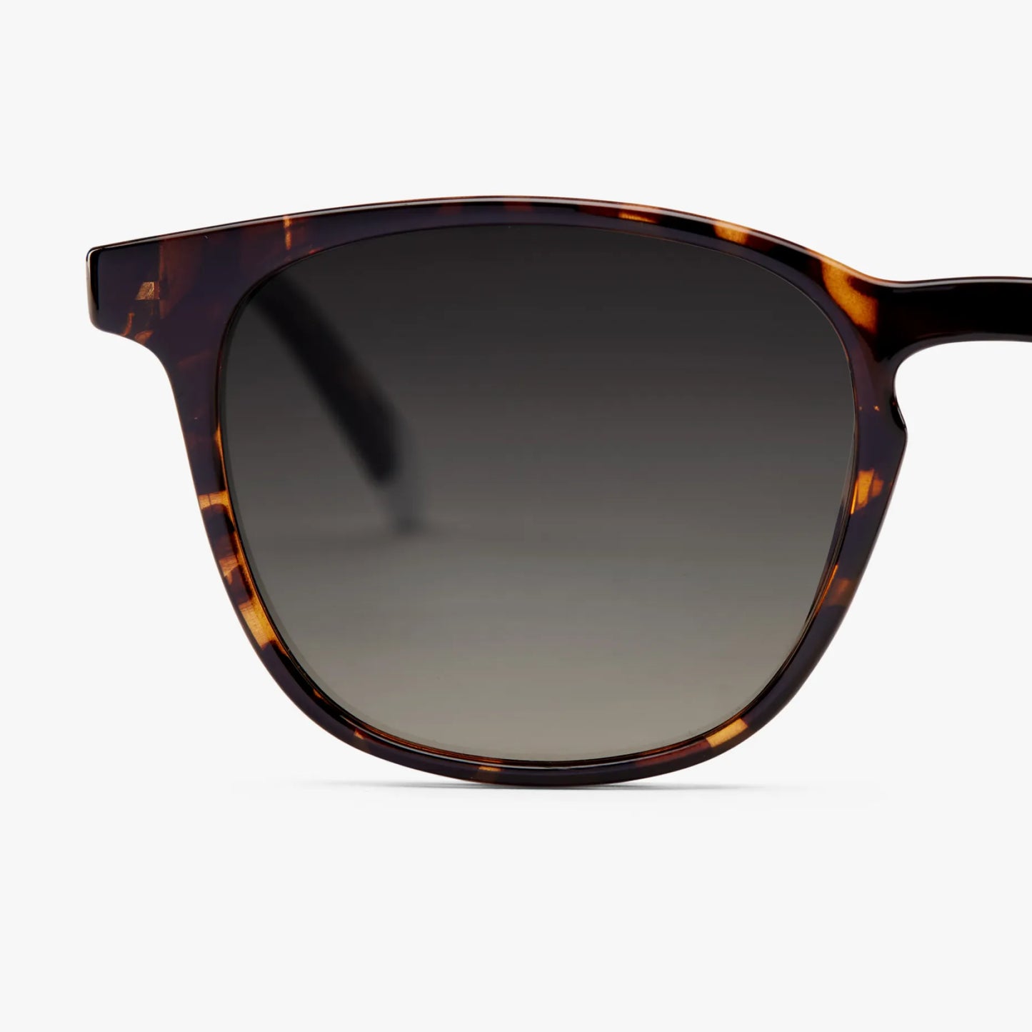 Dalston Glossy Sun - Tortoise