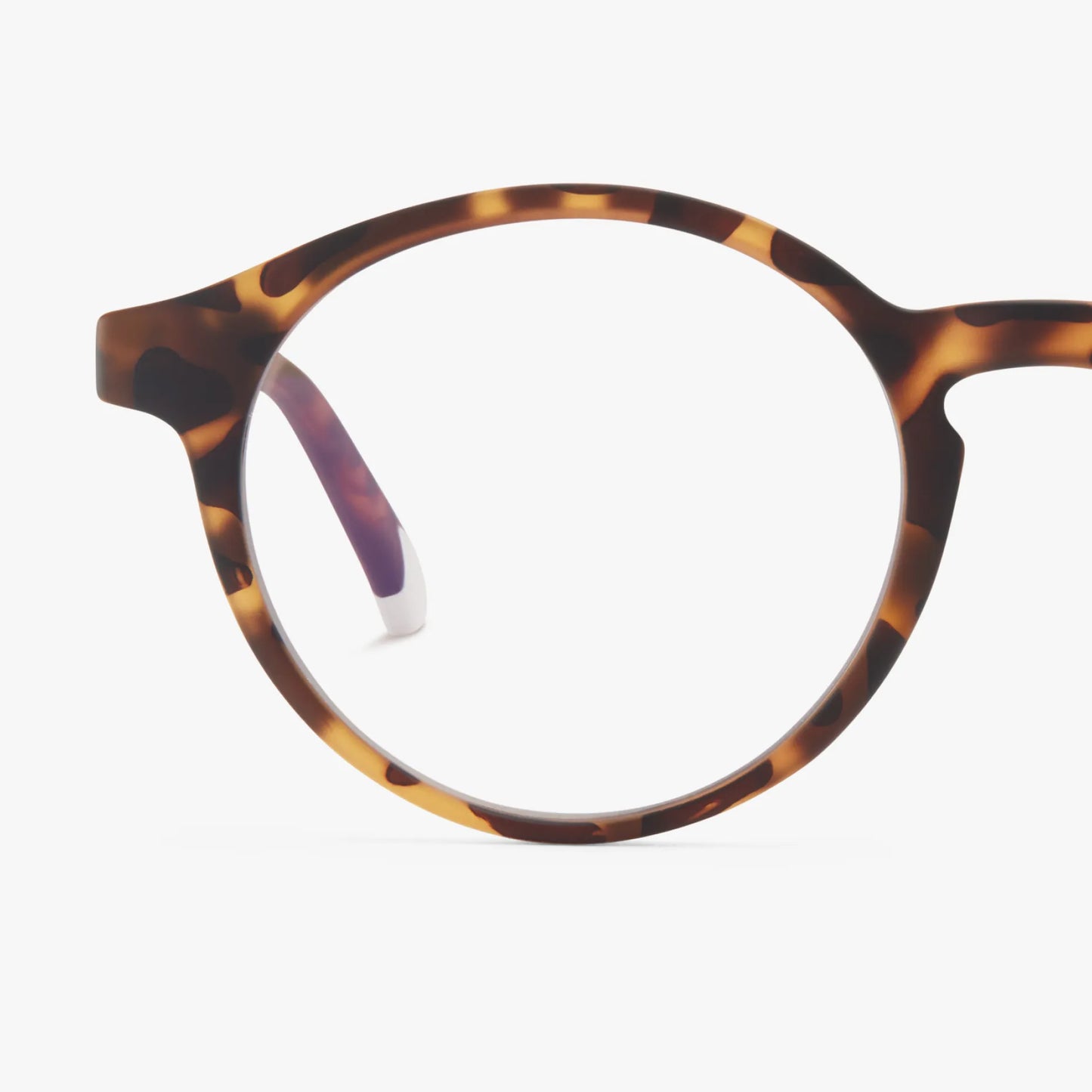 Le Marais Matte - Tortoise