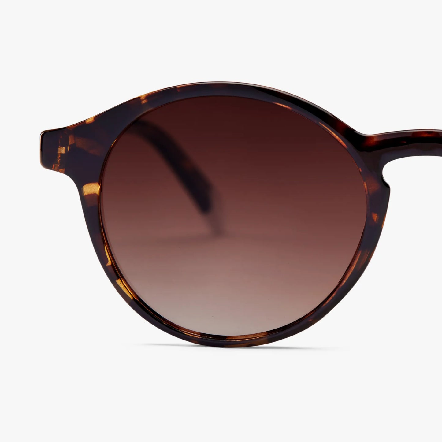 Le Marais Glossy Sun - Tortoise