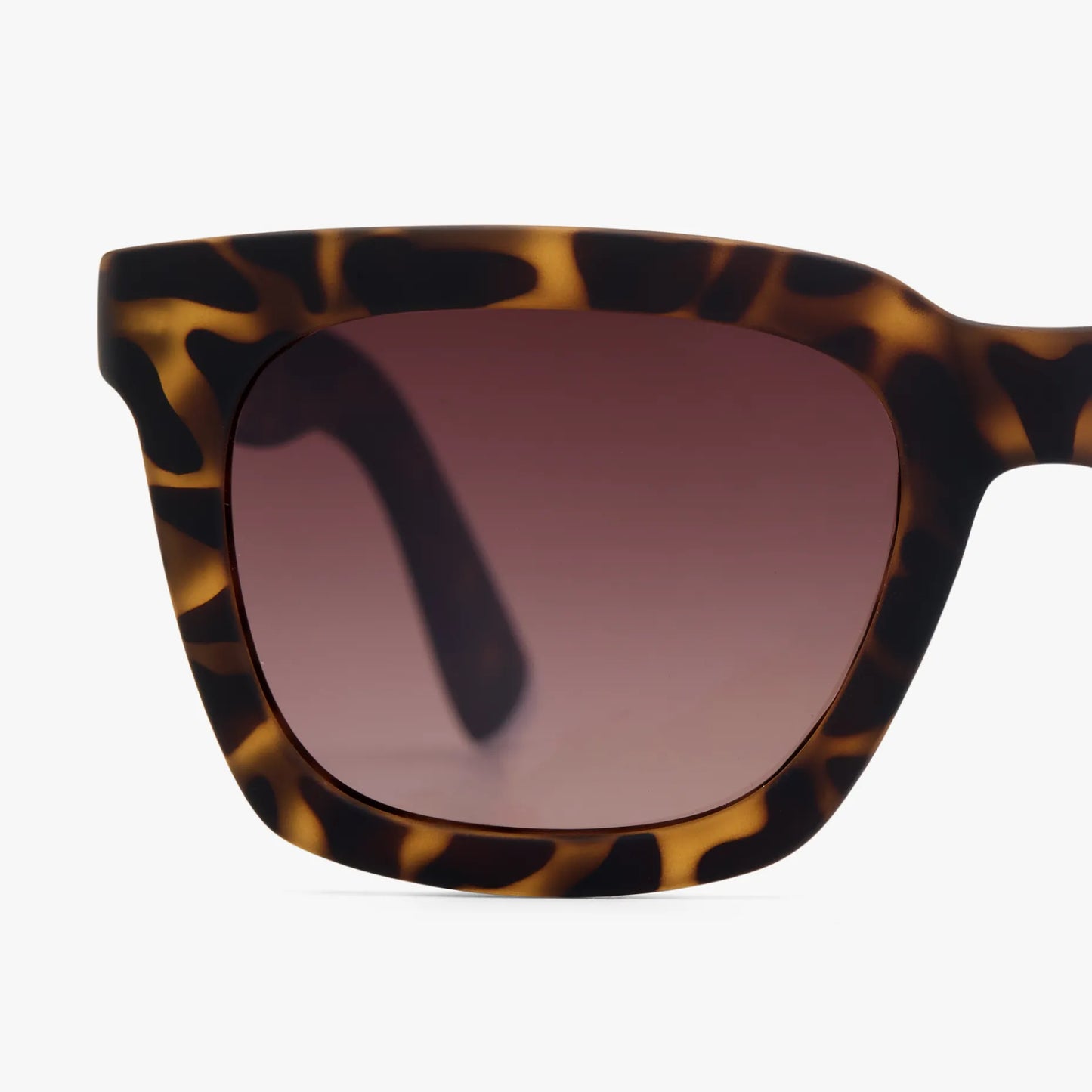 Max Matte Sun - Color: Tortoise
