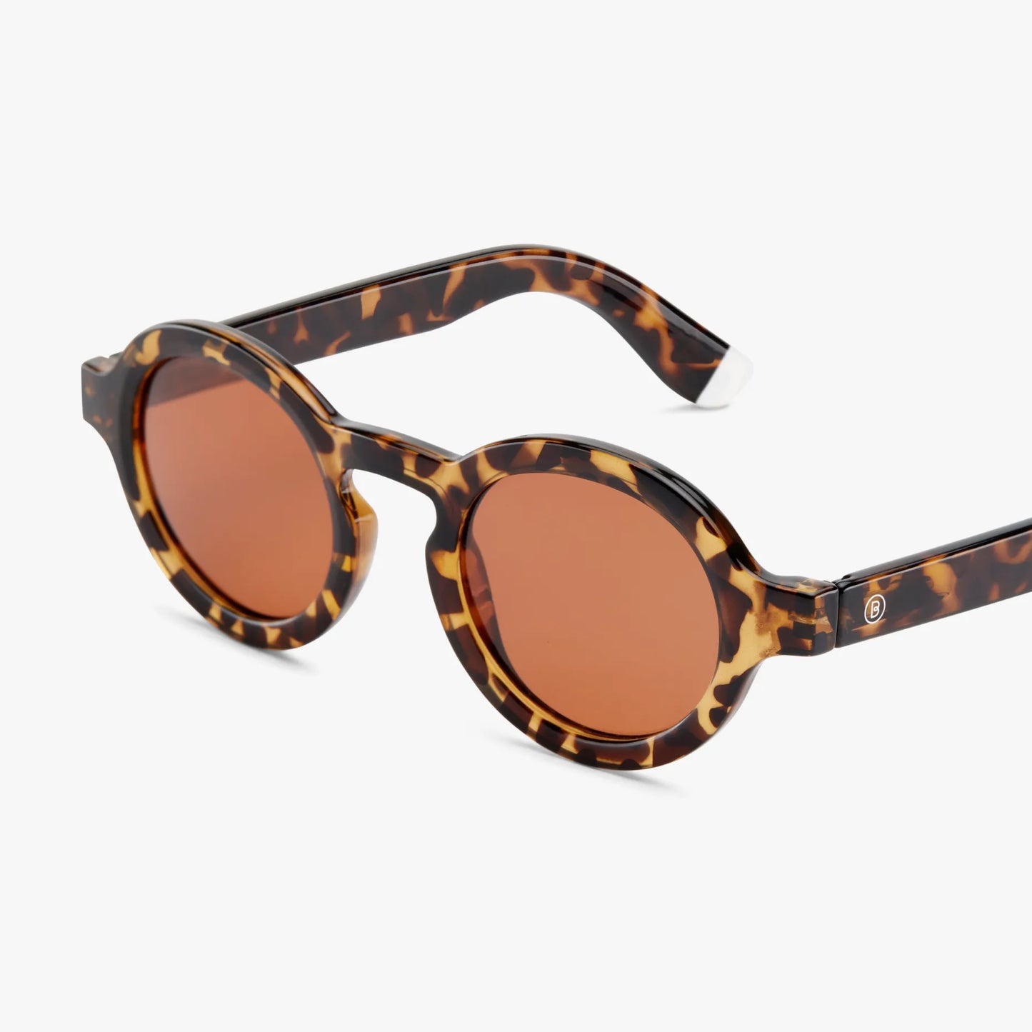Charles Glossy Sun - Tortoise