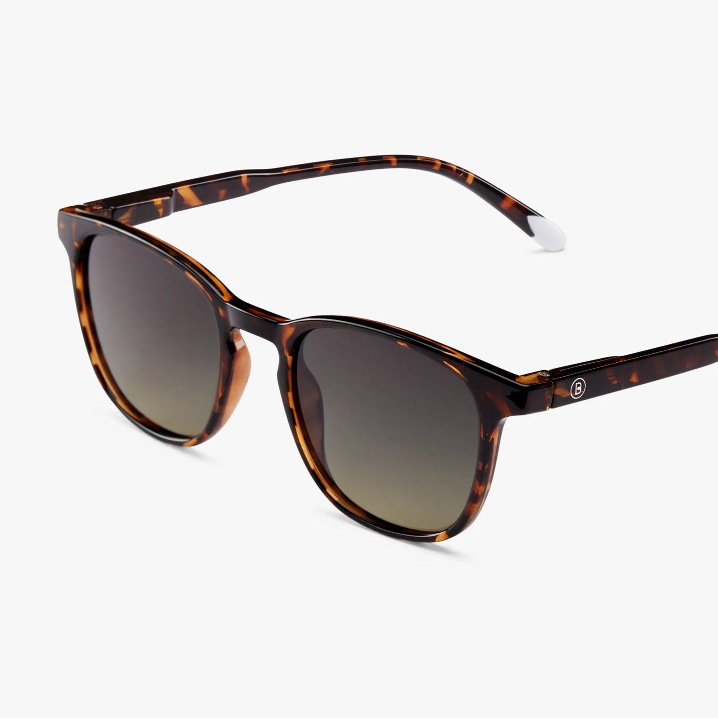 Dalston Glossy Sun - Tortoise