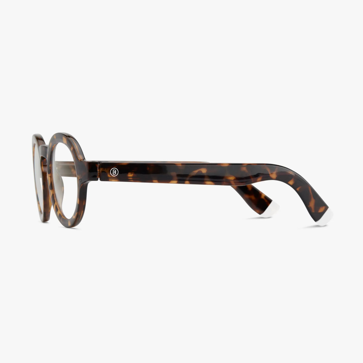 Charles Matte - Tortoise