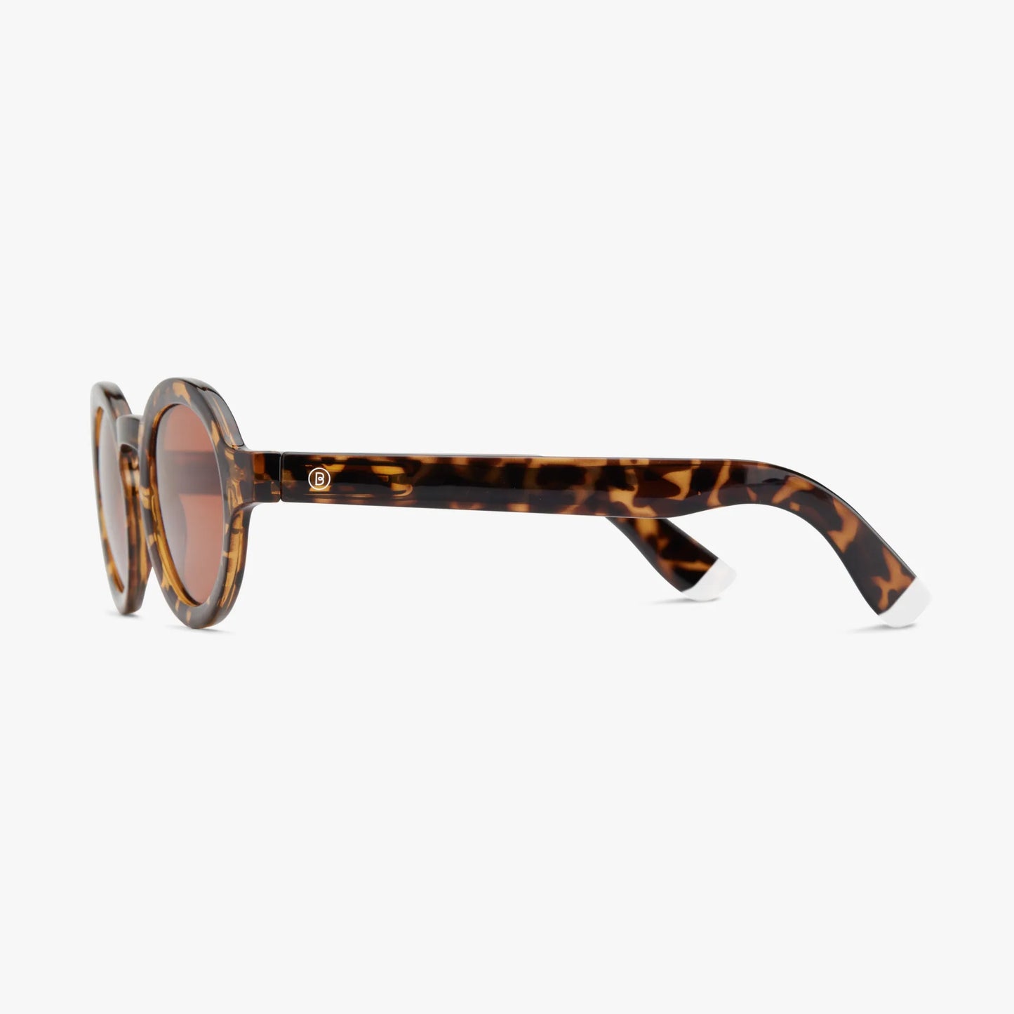 Charles Glossy Sun - Tortoise