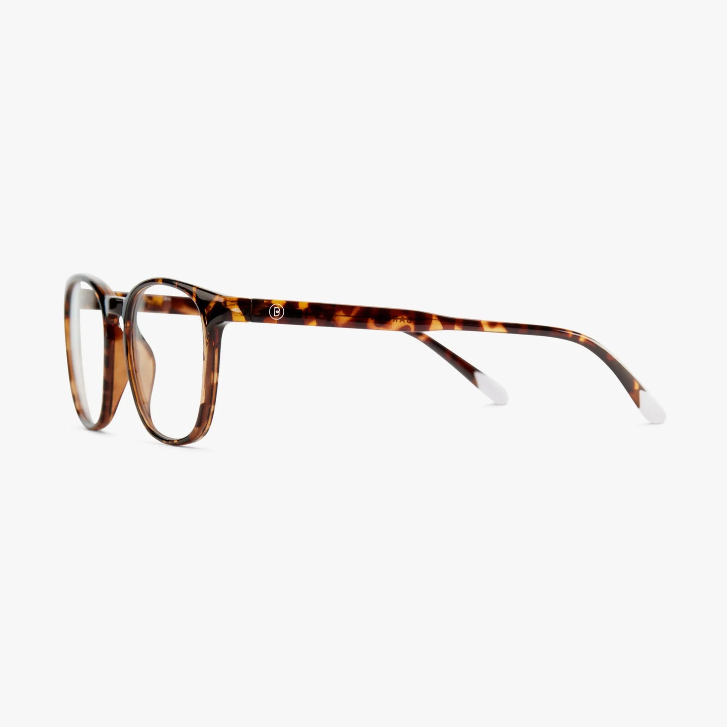 Dalston Glossy - Tortoise