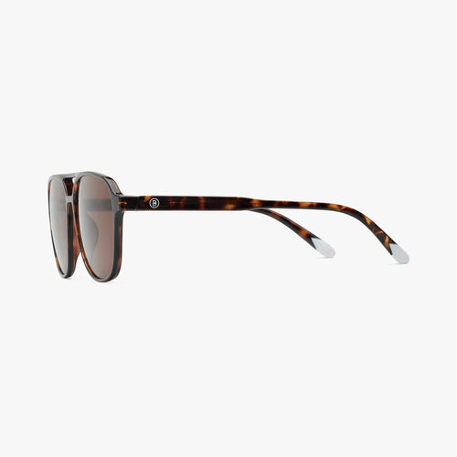 Load image 1 in gallery view. Brad Glossy Sun - Tortoise