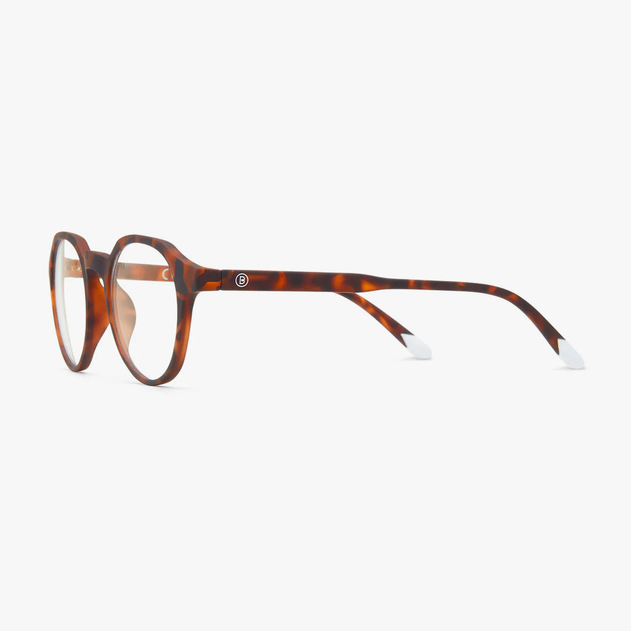 Chamberí Matte - Tortoise
