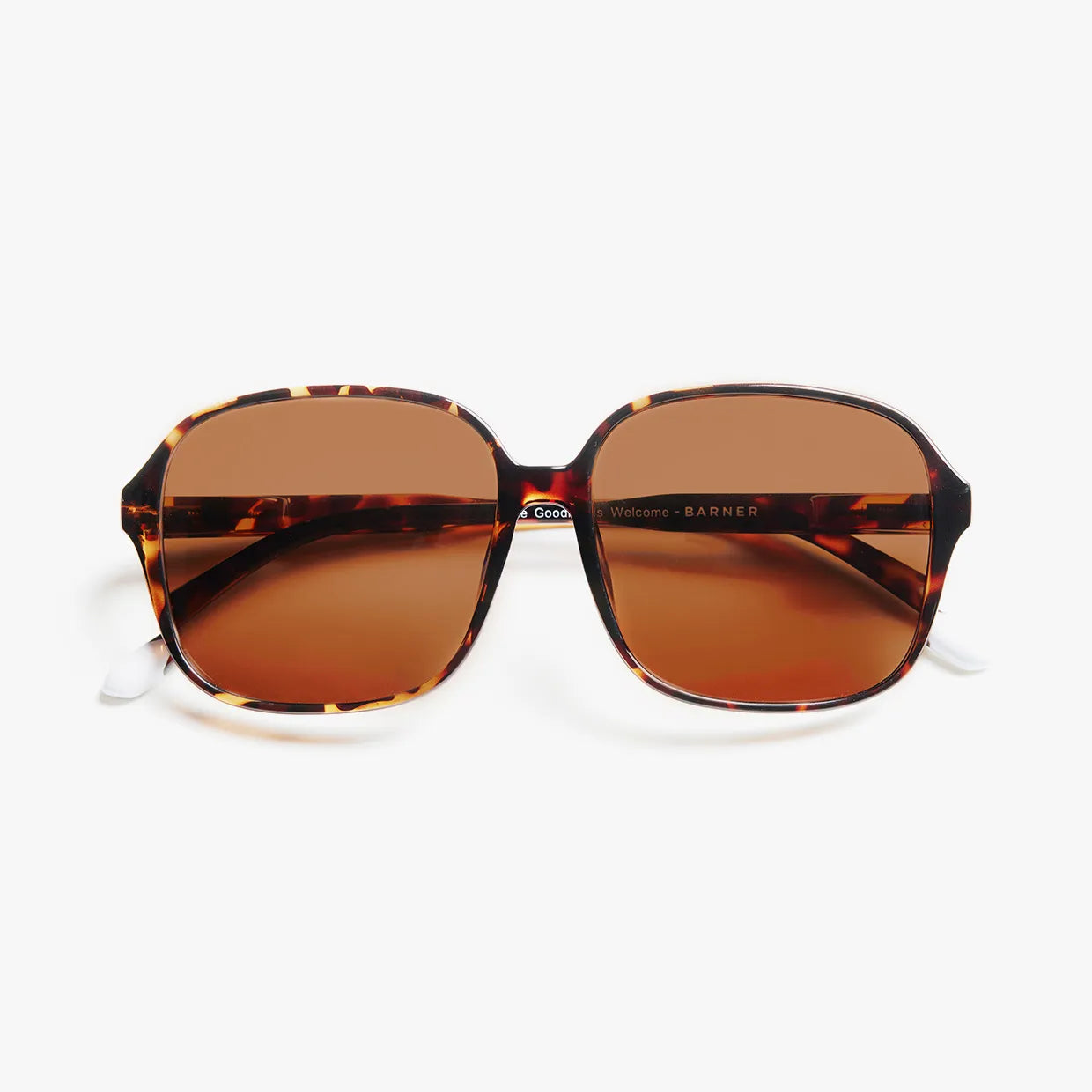Pascal Glossy Sun - Tortoise