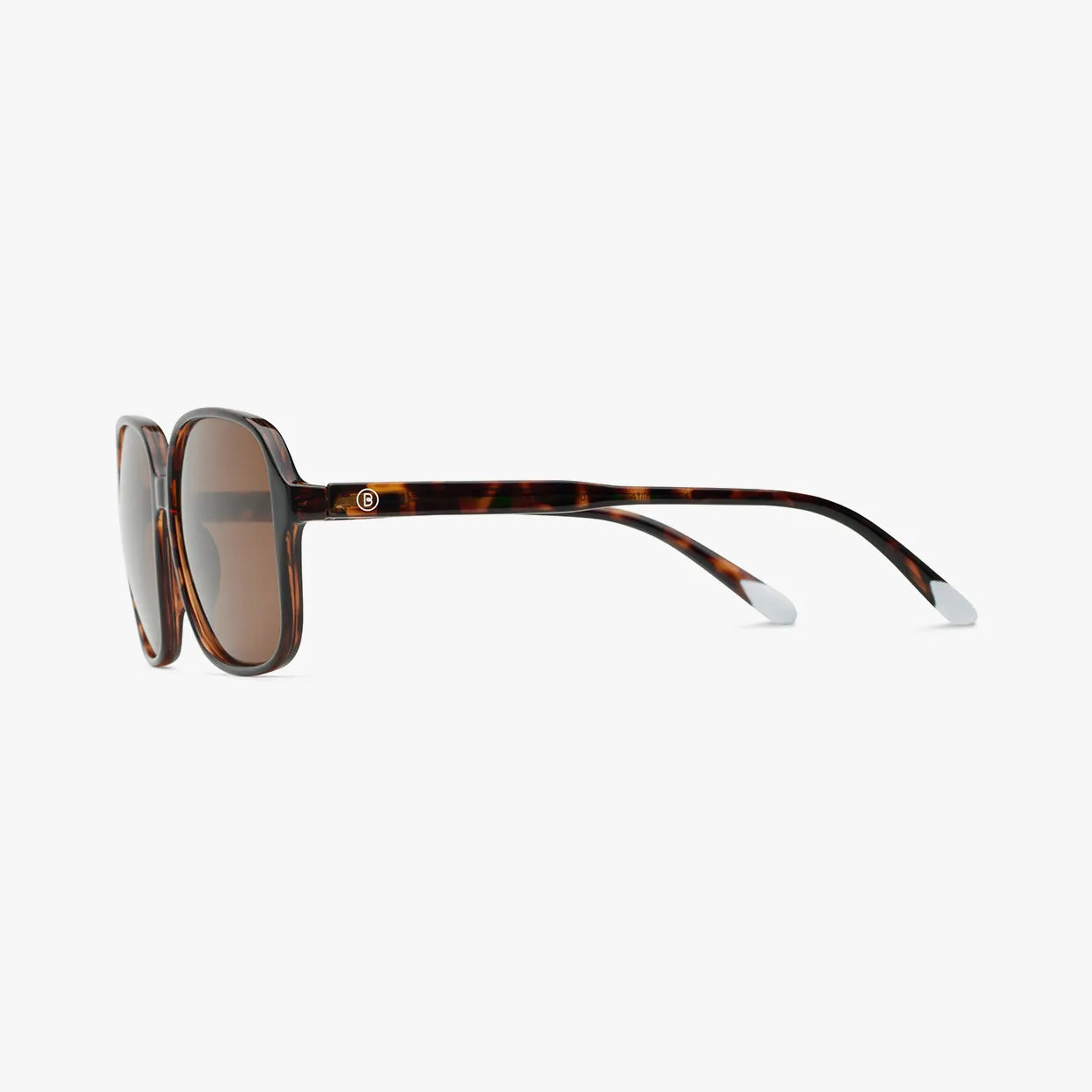 Pascal Glossy Sun - Tortoise