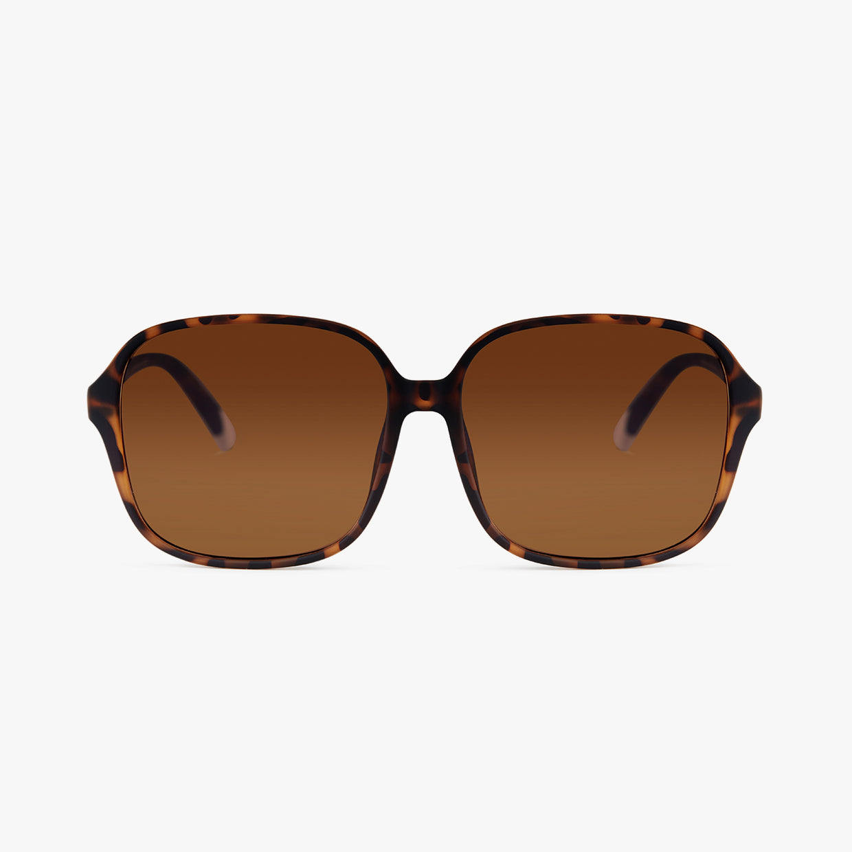 Pascal Matte Sun - Tortoise