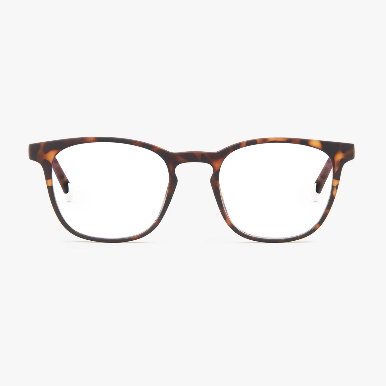 Dalston Matte - Tortoise